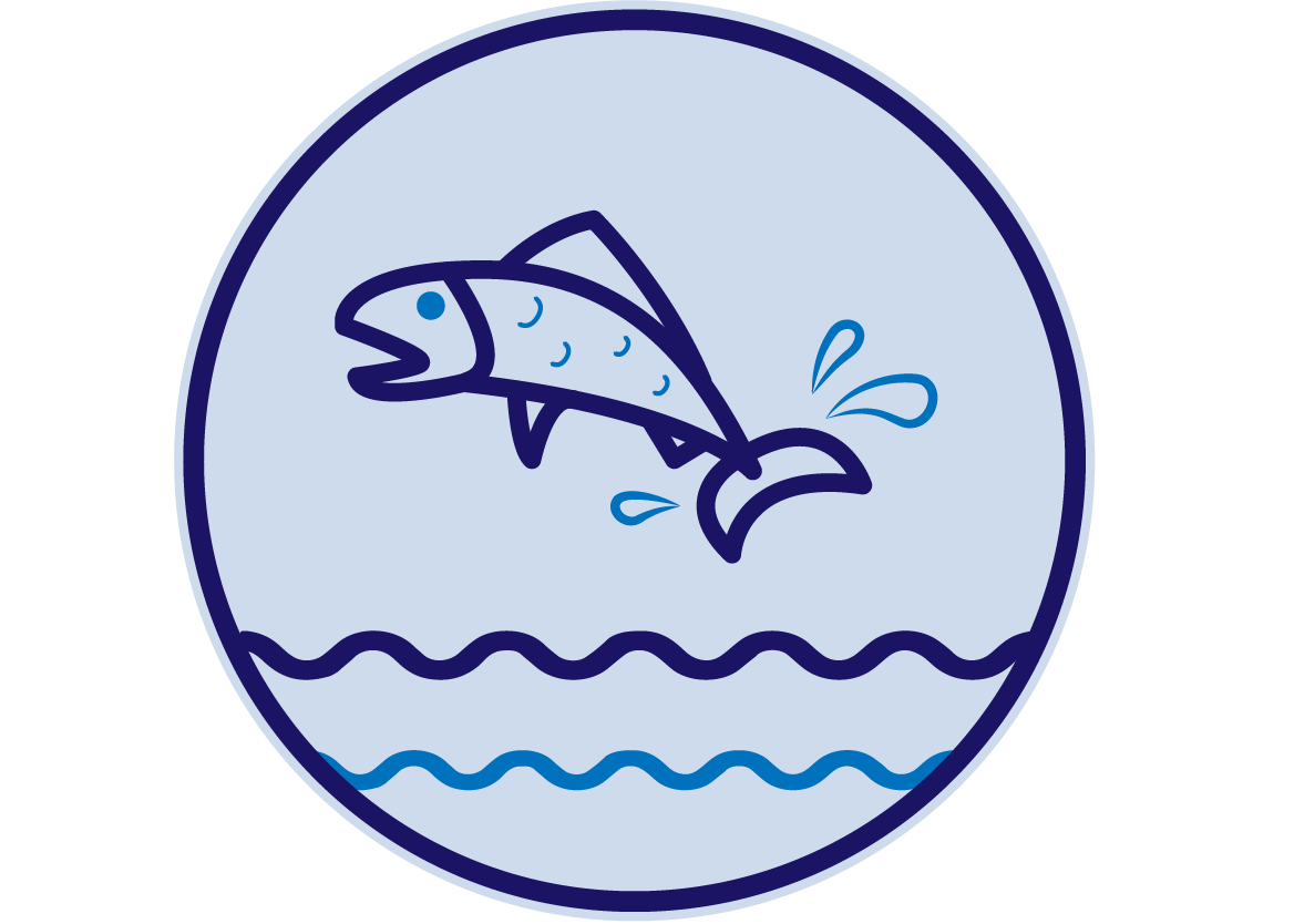 Fish Icon