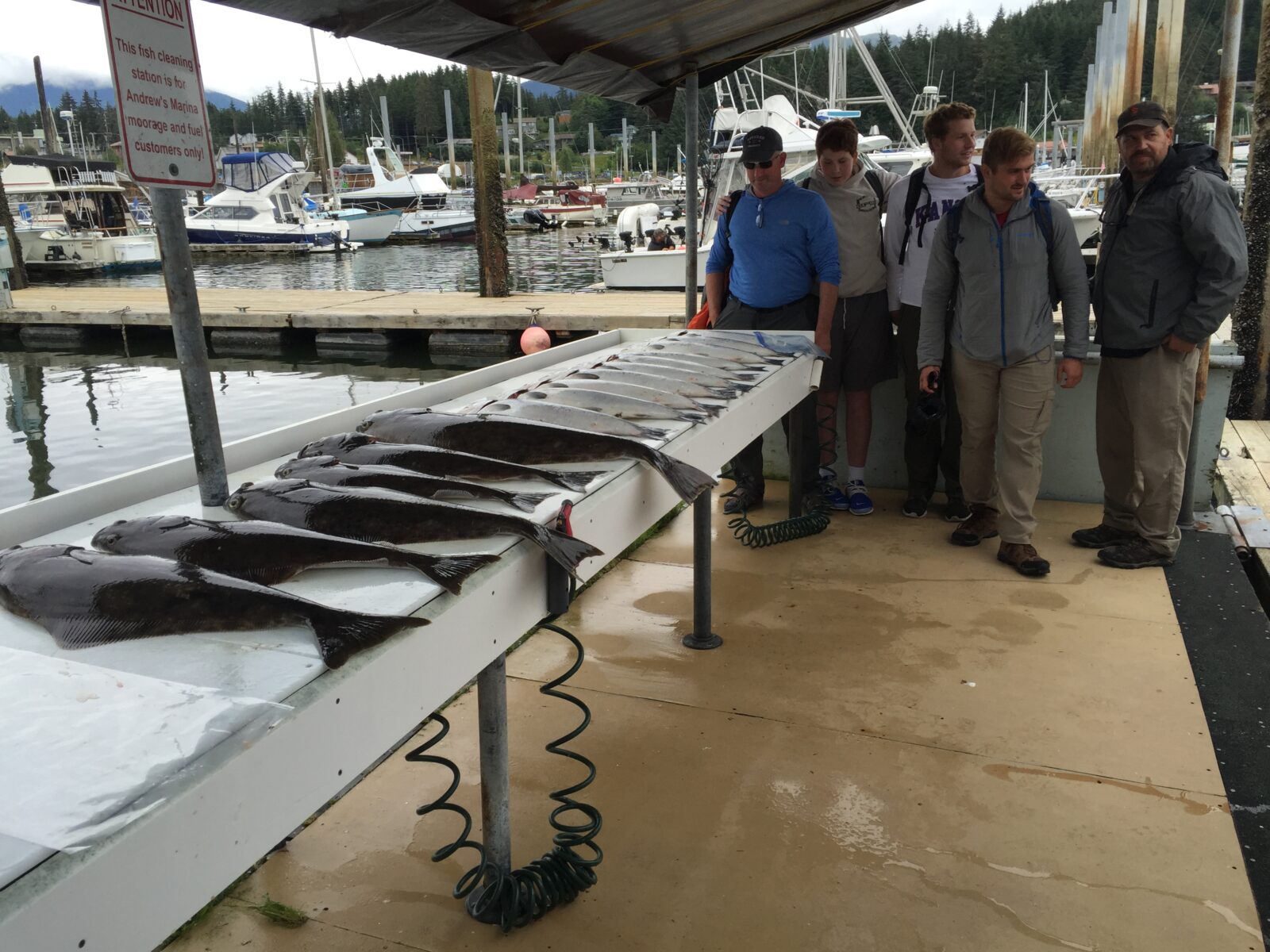 processing fish